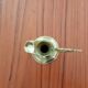 Golden ewer