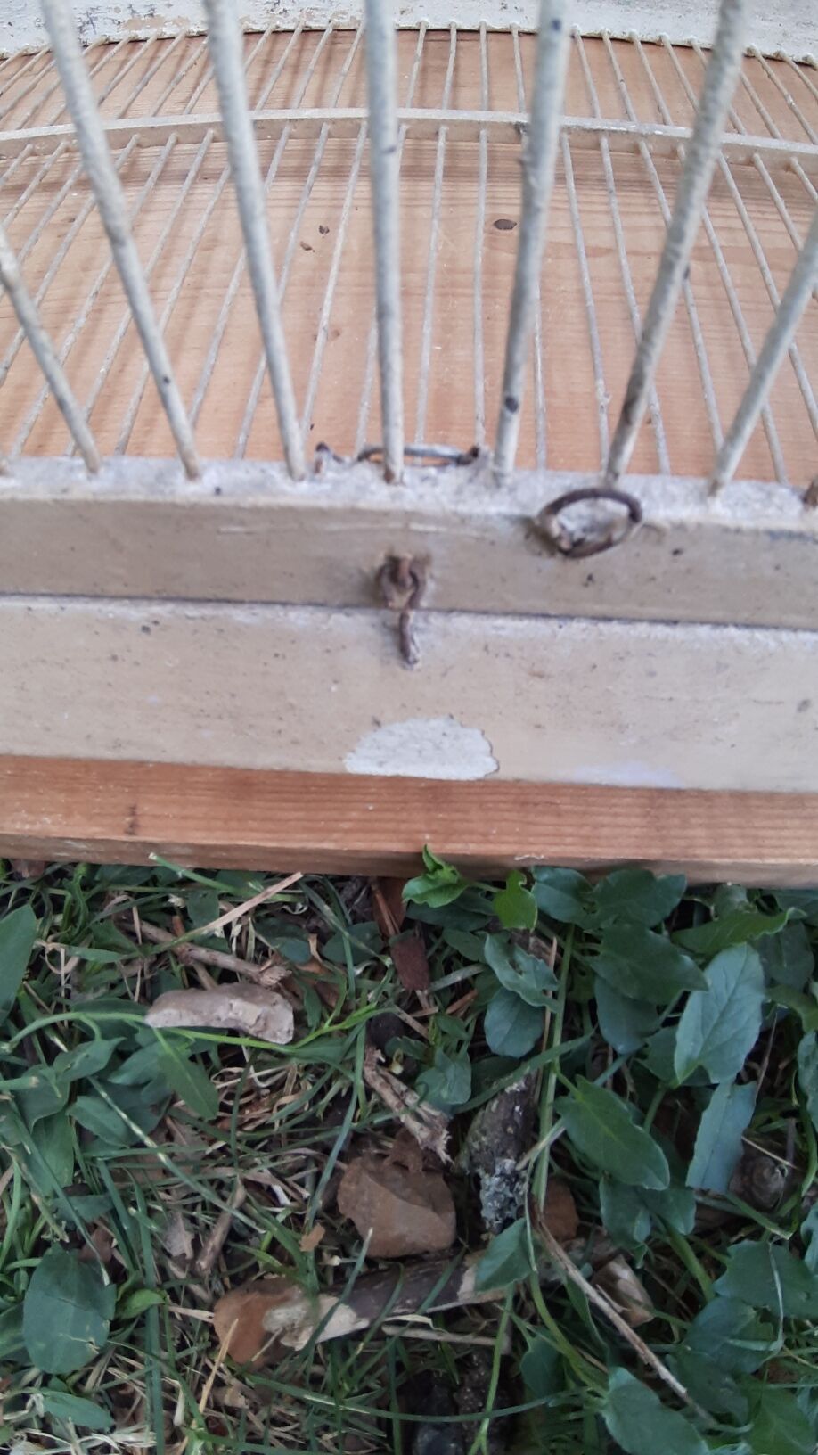 large wooden and iron birdcage 1930s