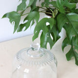 Glass cheese bell, vintage