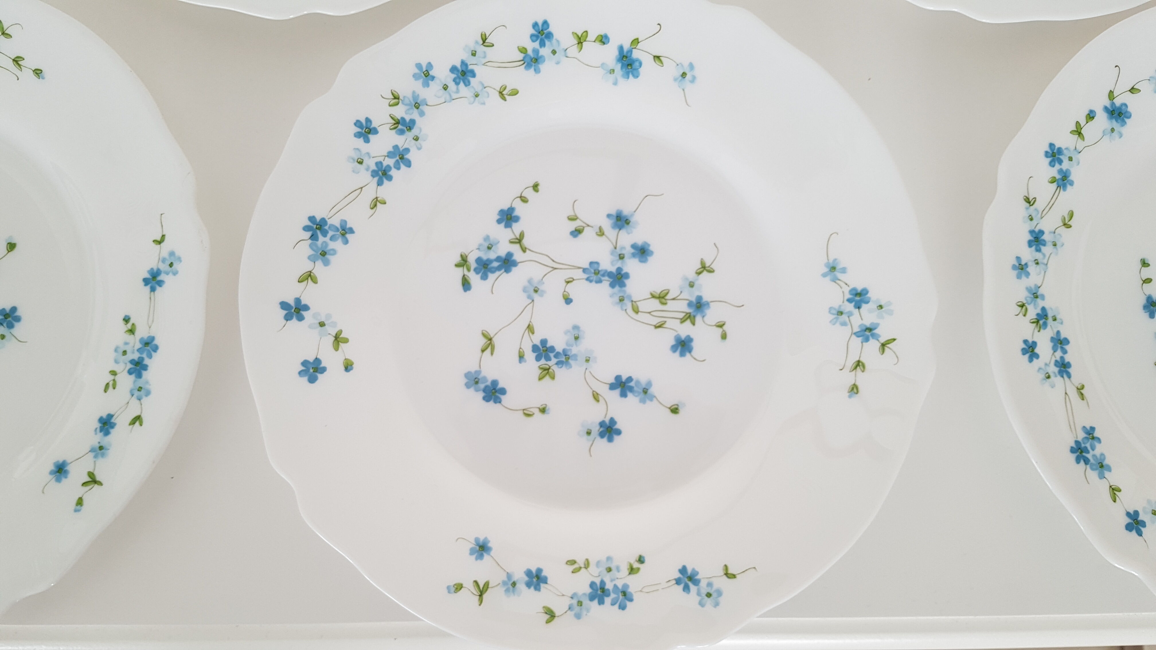 Full service 24 pieces Arcopal Myosotis Veronica