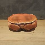 Earthenware crab terrine