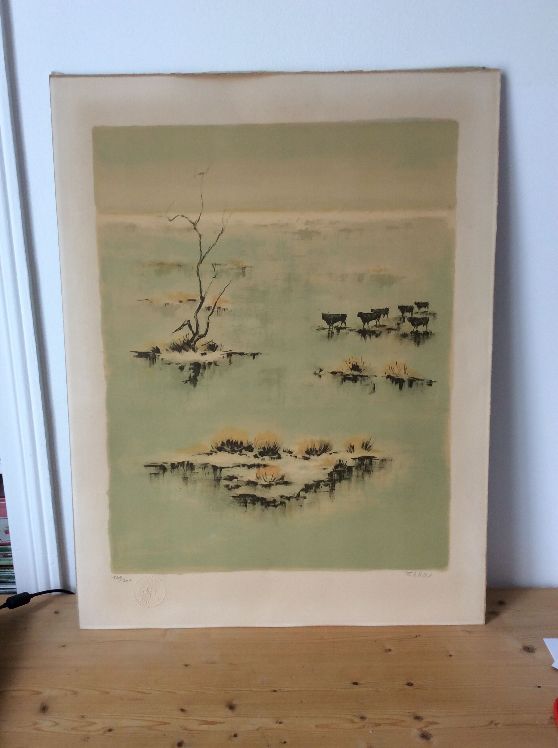 Camargue Landscape Illustration