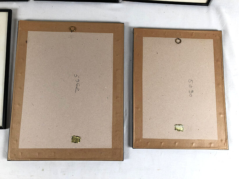 Set of six framed reproductions of roses, illustrations by P.J Dreaded