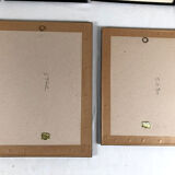 Set of six framed reproductions of roses, illustrations by P.J Dreaded