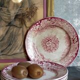 Five plates of earthenware from Pexonne 19th service "flowers"