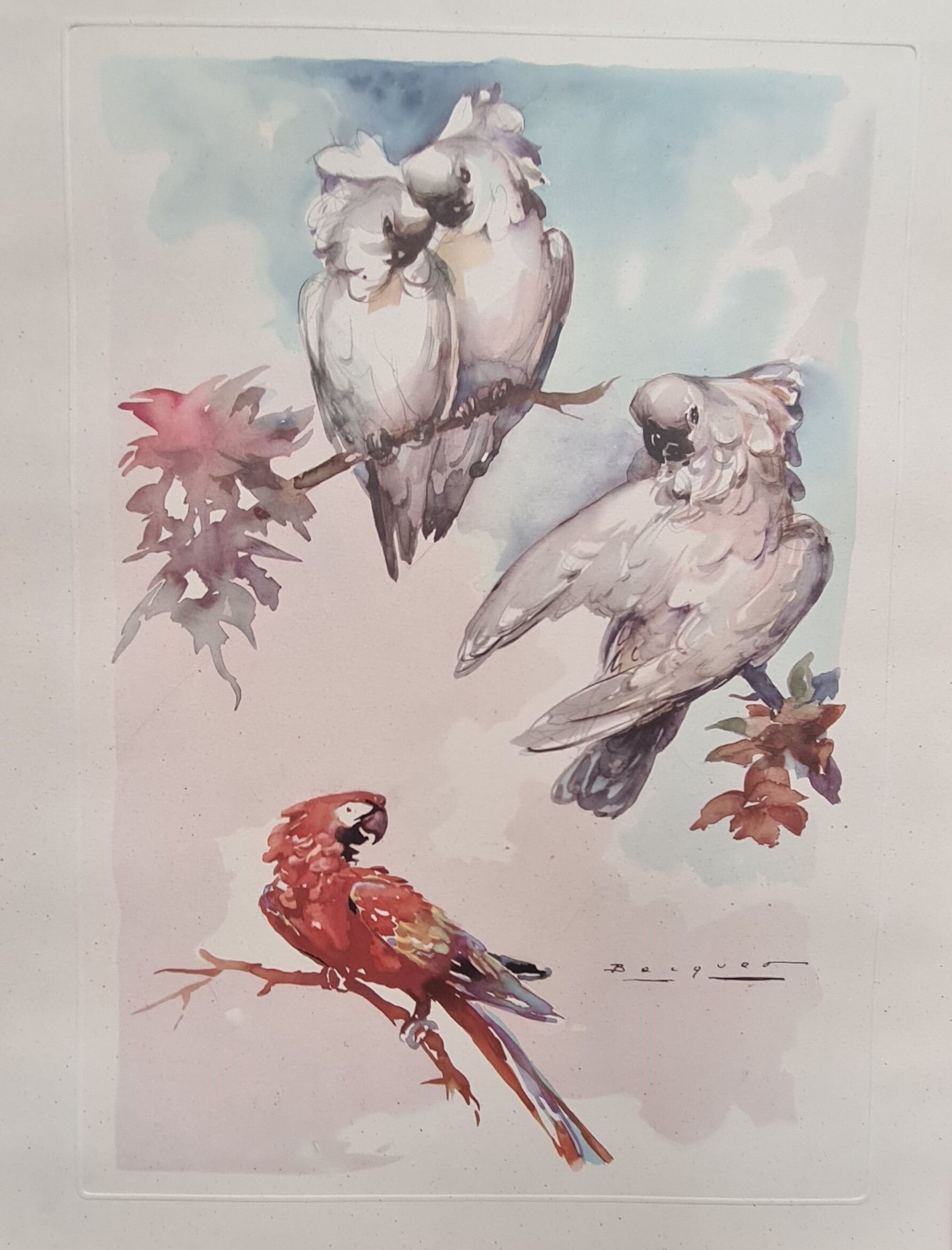 Lithograph birds signed 1996 in beautiful frame in magnifying glass 82xx50