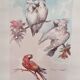 Lithograph birds signed 1996 in beautiful frame in magnifying glass 82xx50