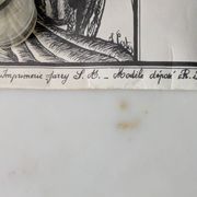 Vintage poster on Guadeloupe printed by Jarry signed by G. Costes.