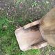 Banc brutaliste