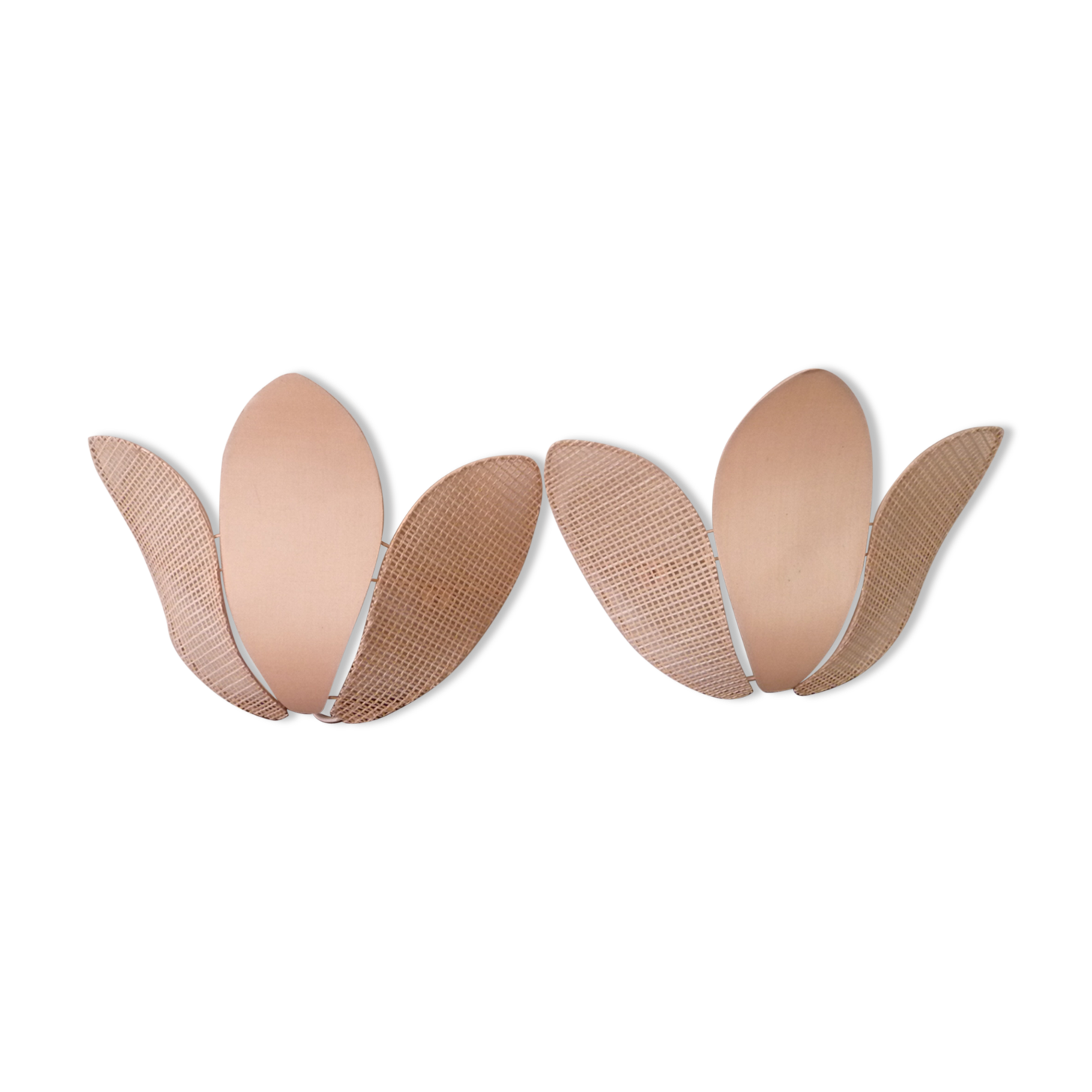 Duo of pink corolla sconces