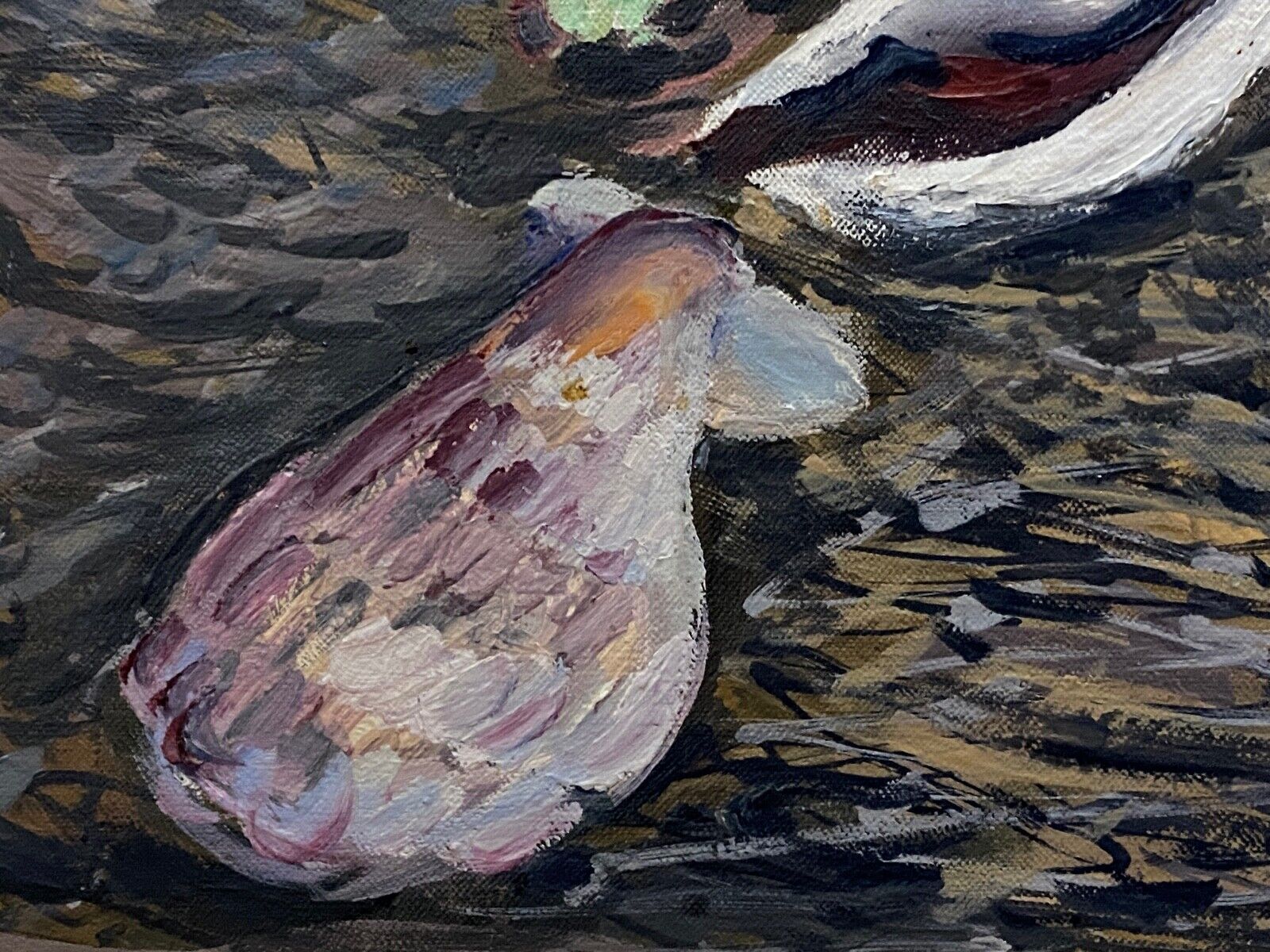 Huile sur toile Laure Malcles Masereel nature morte aux coquillages 1960
