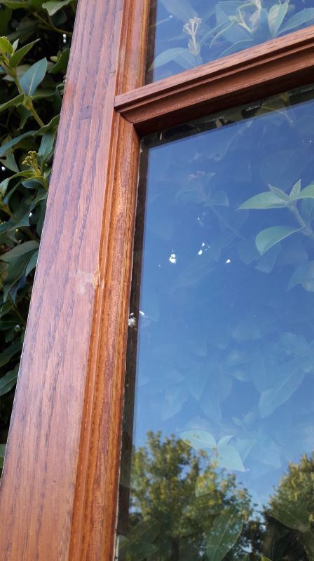 Glass window h141xl263 in oak 4 leaves