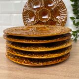 Set of 6 shell plates