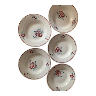 Lot de 5 assiettes creuses