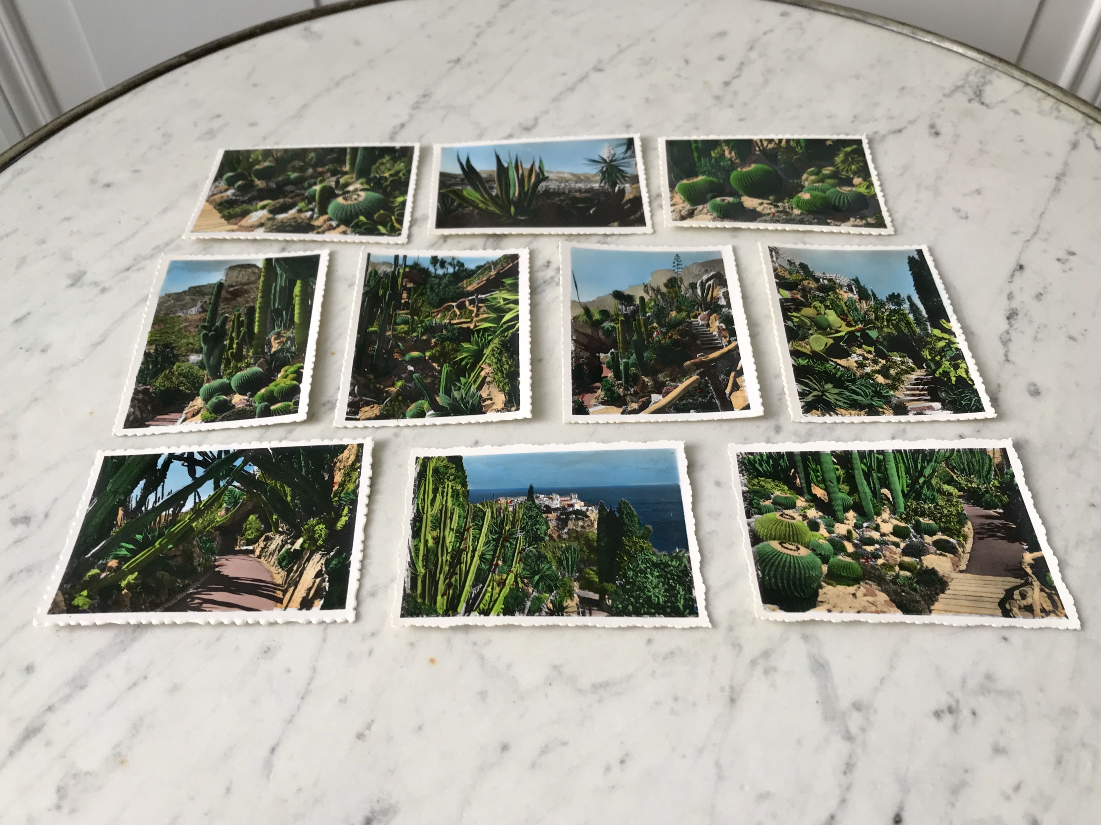 Set of 10 vintage photographs "Exotic Garden" Monaco 70s