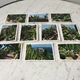 Set of 10 vintage photographs "Exotic Garden" Monaco 70s