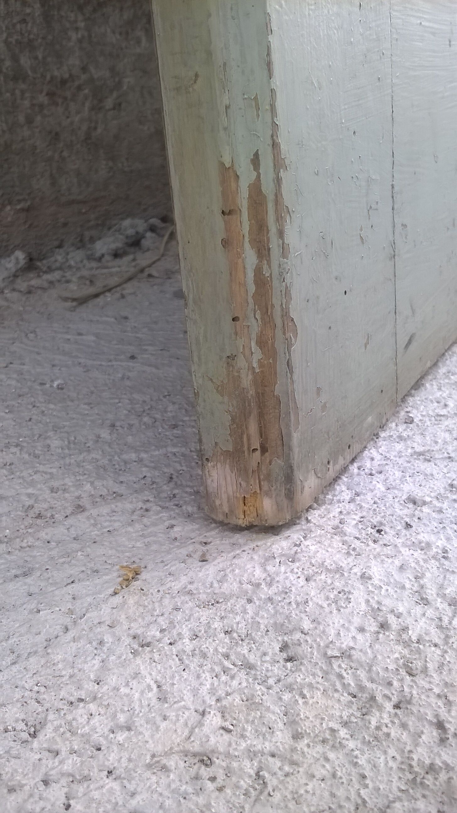 Old glass interior door mint