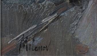 "The most beautiful for going dancing" by Stojan Milanov