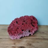 Red coral