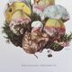 Botanical Illustration Mushrooms Fechtner's Bolete Vintage Print 60s