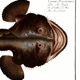 Poster about the anglerfish, based on an old engraving from 1746.