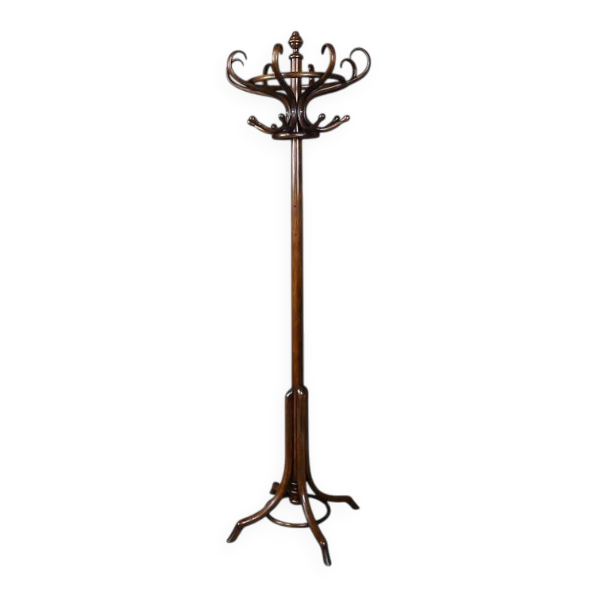 Beech coat rack parrot – early 20th century