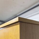 1970 Scandinavian wardrobe with shelves and mirror, 21x126, 2 doors.