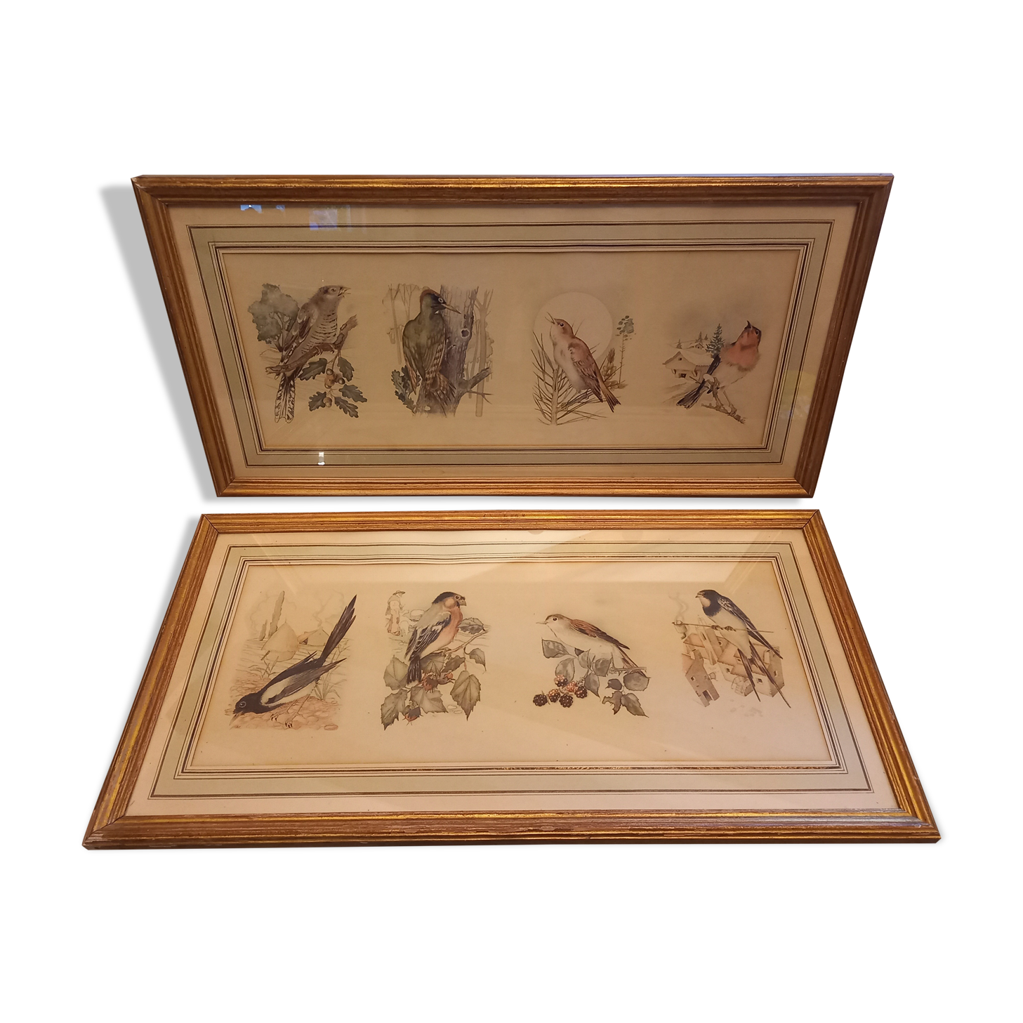 Lot 2 watercolors ancient birds