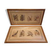 Lot 2 aquarelles oiseaux anciennes