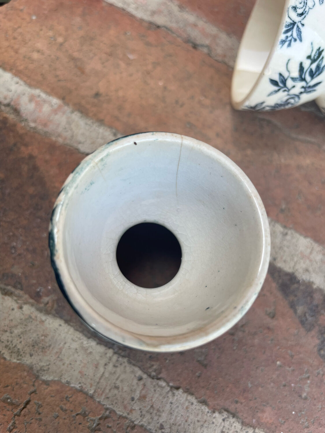 Cockroaches diabolo Terre de Fer