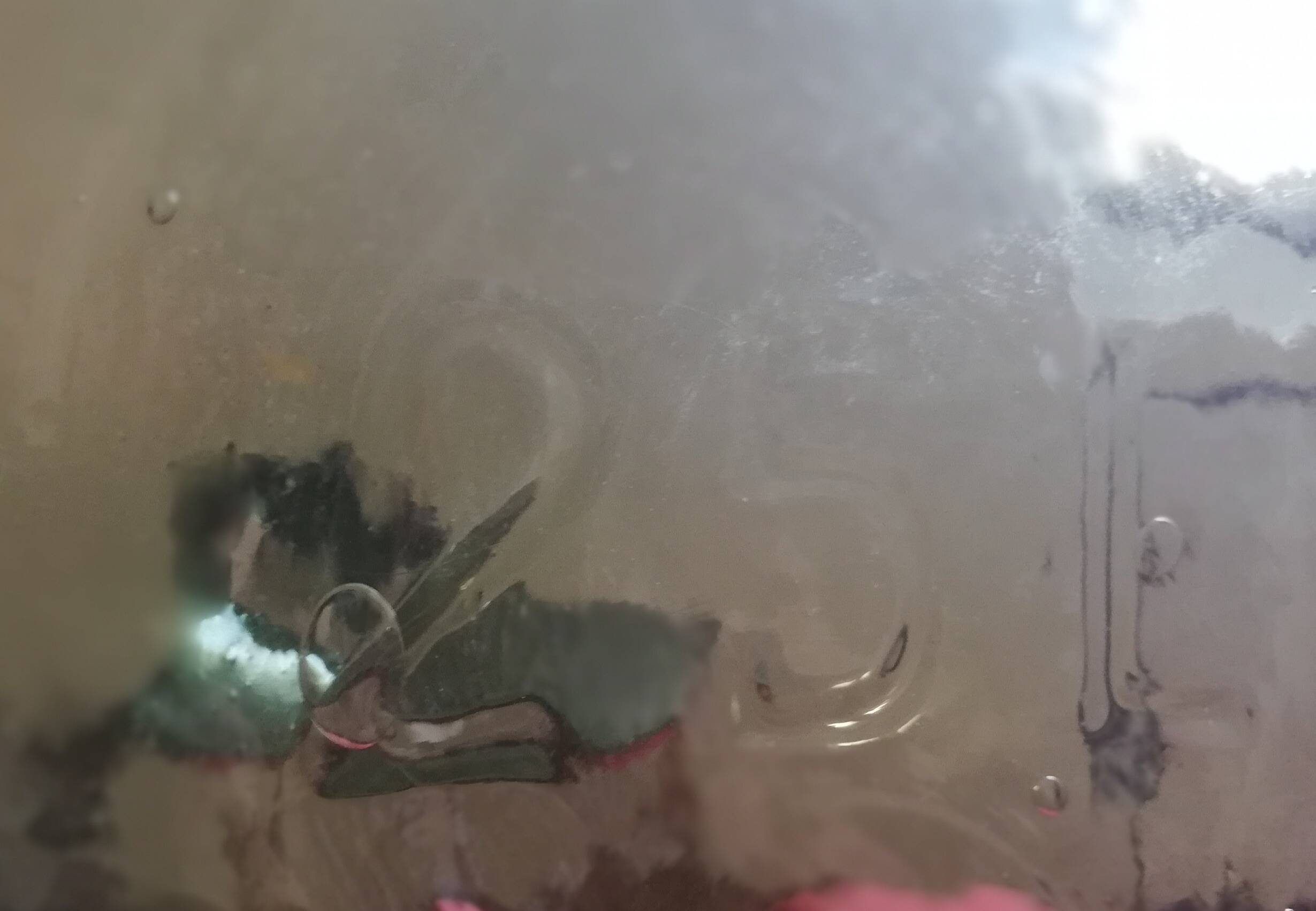 Green blown glass demijohn 25l