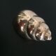 Brass shell, 1970s