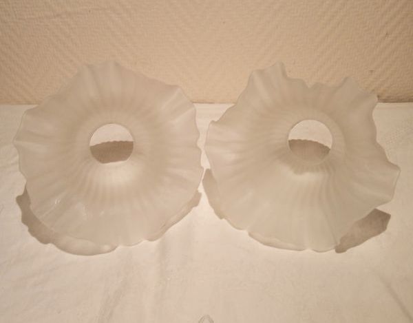 Lot 4 globes tulipe opaline