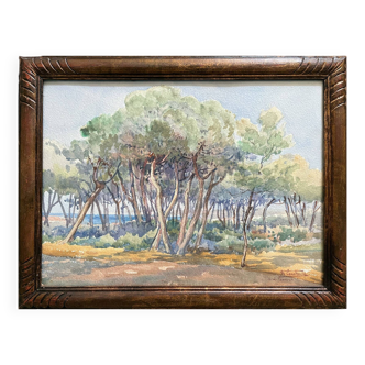 Watercolor painting andré casabonne (1922-1950) orientalist sidi ferruch algeria