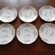 6 Limosa hard porcelain dessert plates (Limoges)