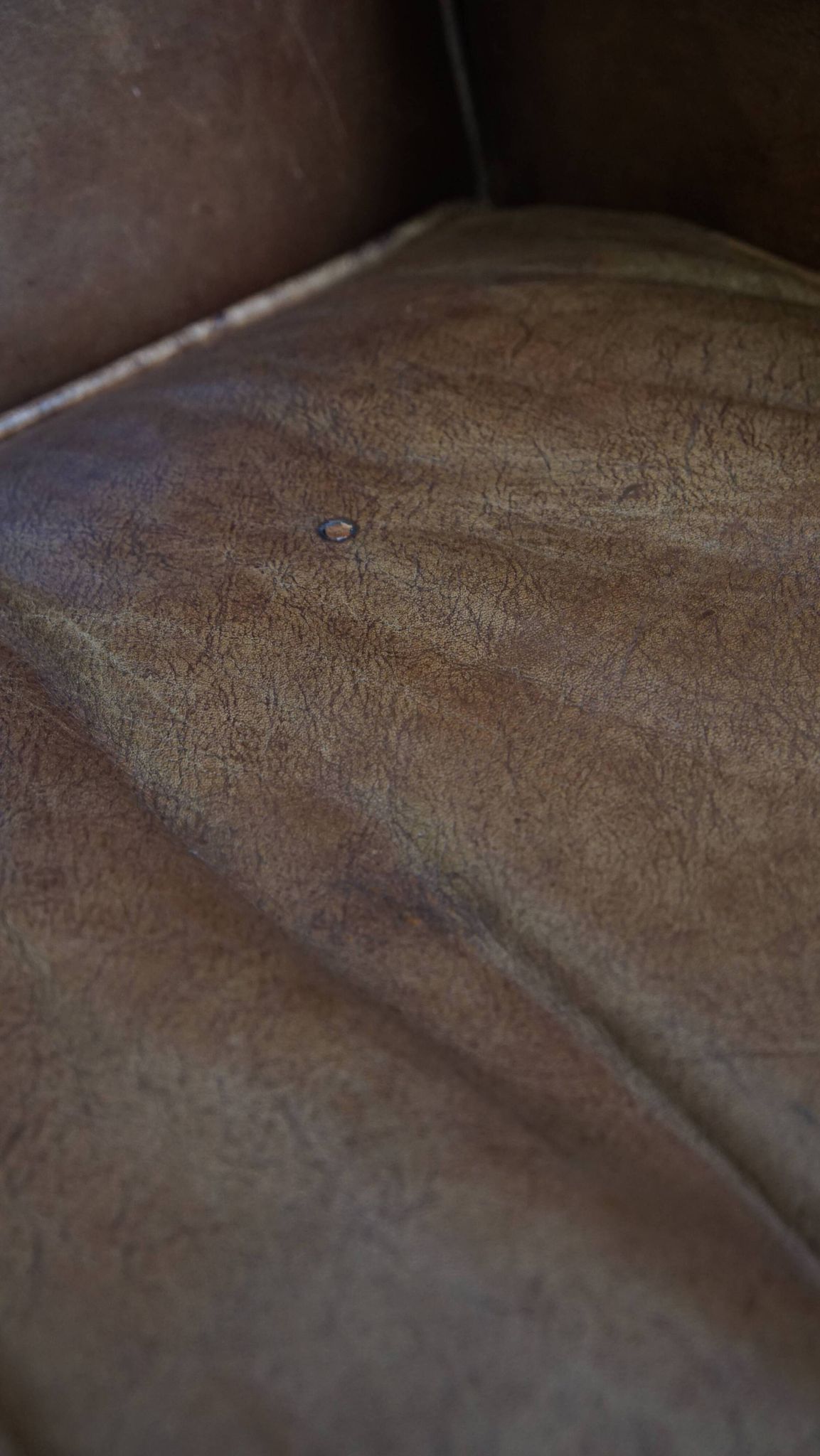 Cowhide Leather Wingback Chair in Light Cognac Color