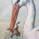 Poster "Stork" lithograph Karl Jansky Böhmen 1897