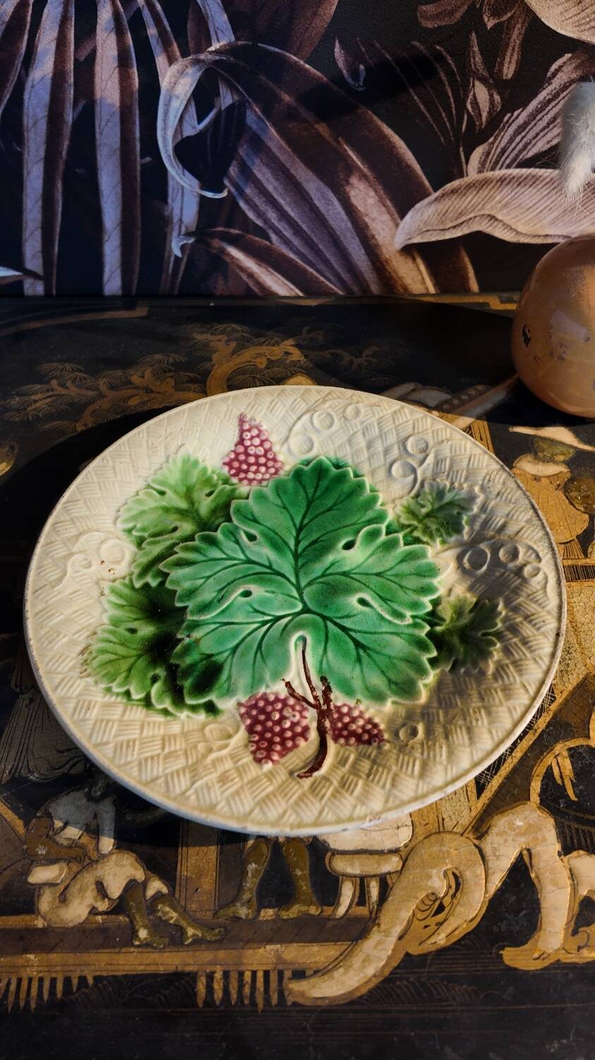 Salins les Bains vine barbotine plate