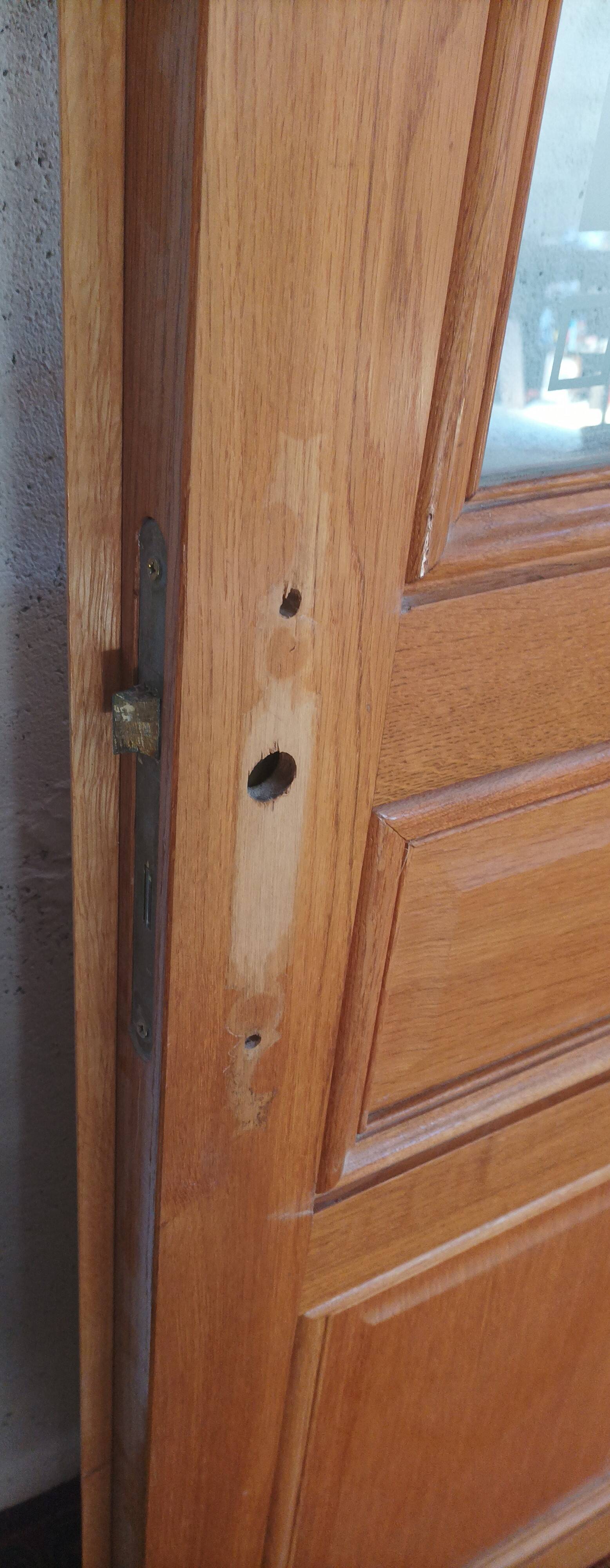 Double glass door in blond oak