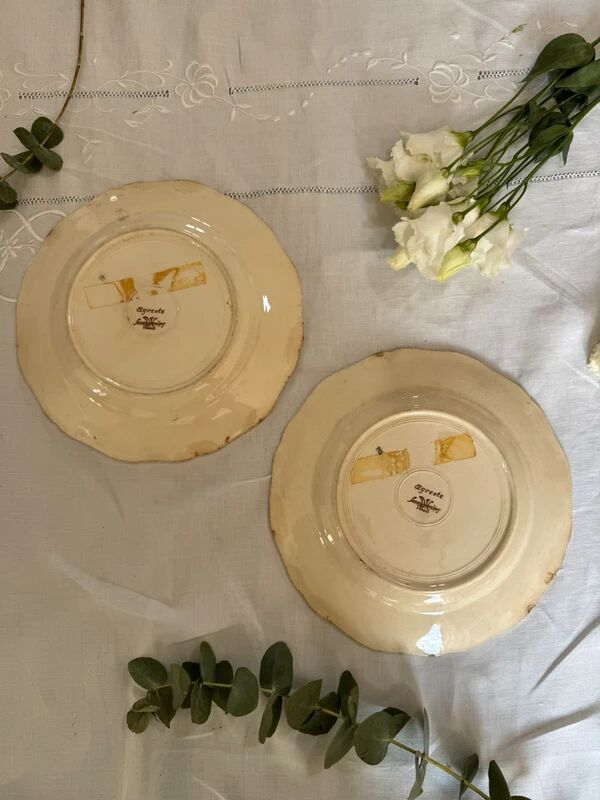 Set of 2 Sarreguemines plates