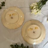 Set of 2 Sarreguemines plates