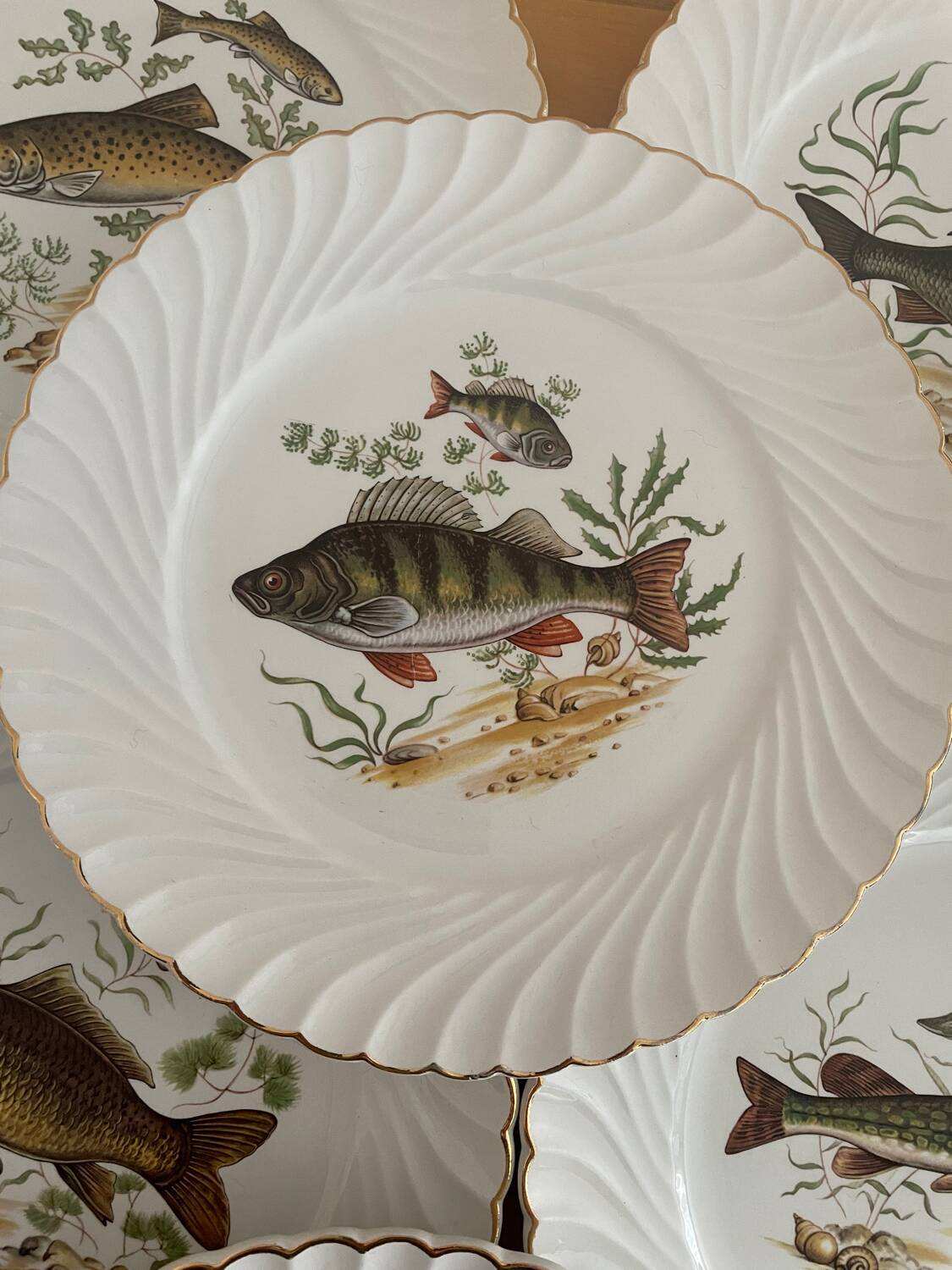 Luneville dinner plates