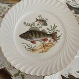 Assiettes plates luneville