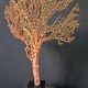 Gorgone Rouge XXL Wooden Base. H: 40 cm | Curiosity Decorative Object