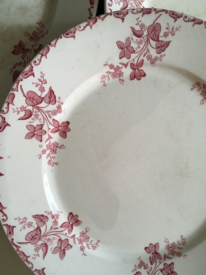 8 flat plates iron earth U&C Sarreguemines Digoin " Margot"