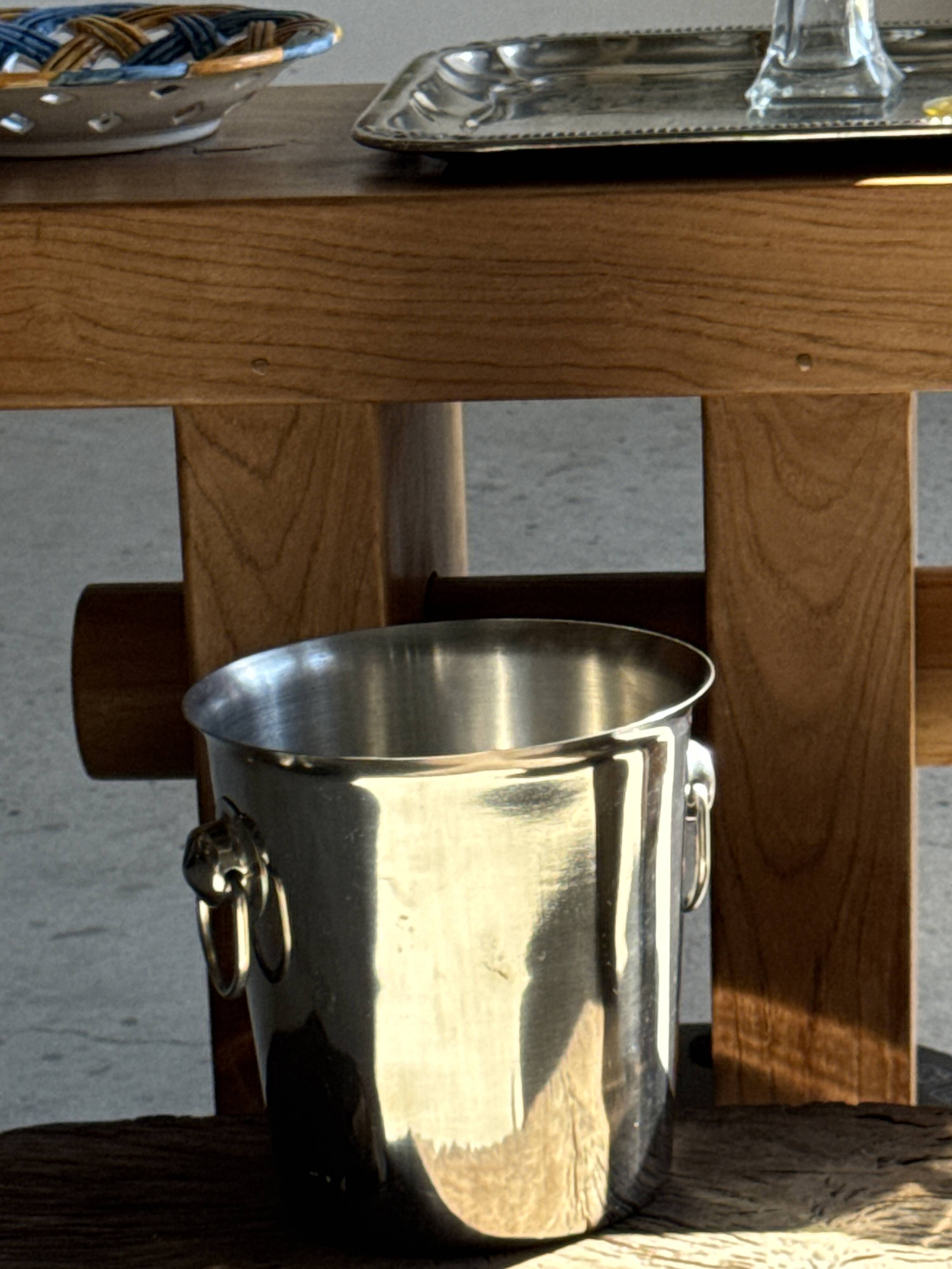 Stainless steel champagne and wine bucket with handle D19 H19