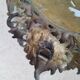 Pair of antique witch mirrors, curved glass, bronze frame