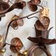Pair of wall sconces
