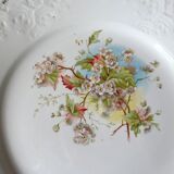Antique earthenware plate with cherry blossom decoration