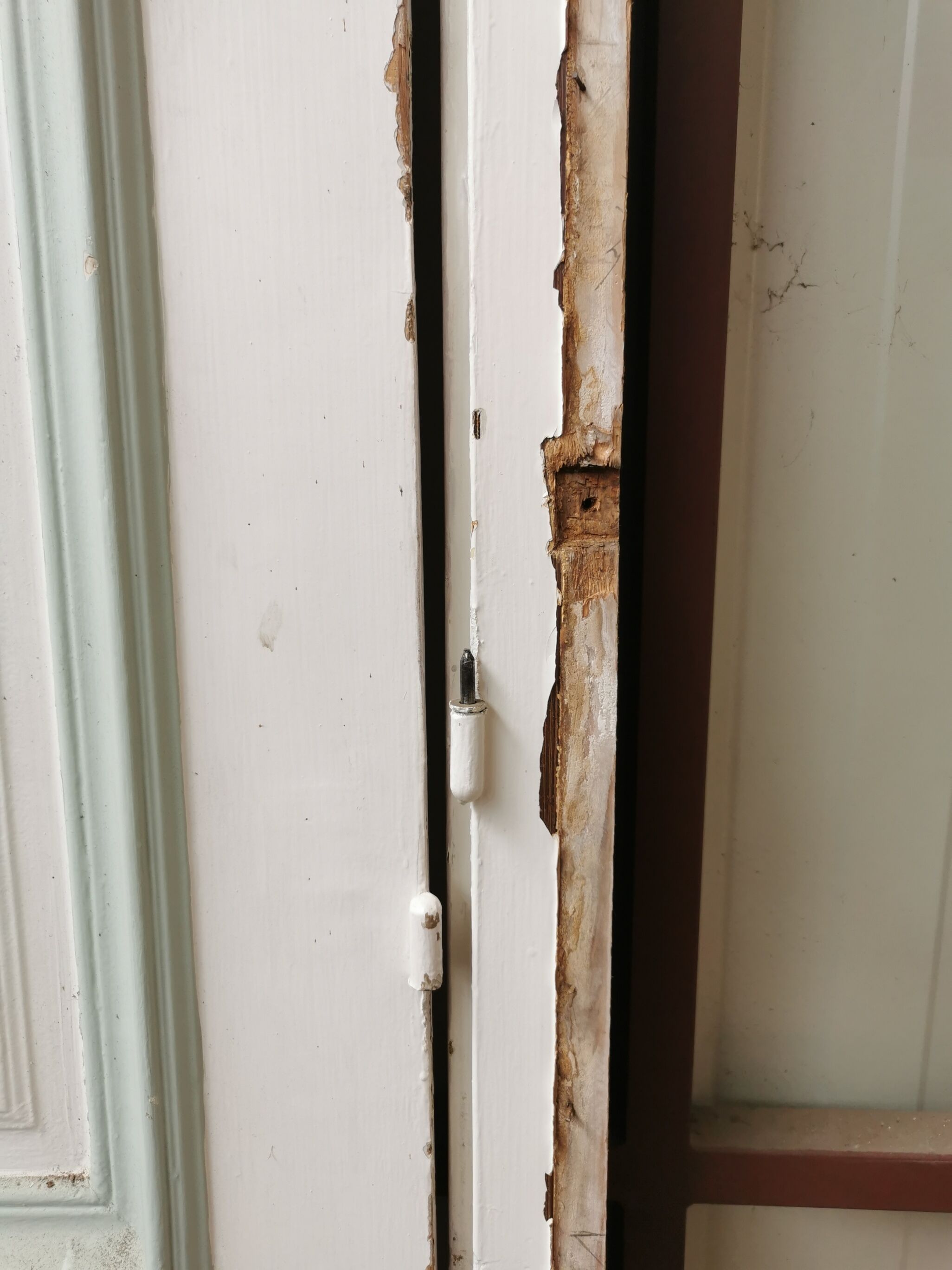 Pair of old Haussmann doors 1900/1920 with built